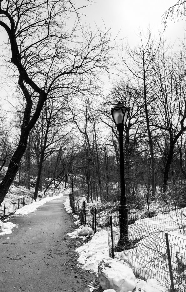 New York 2014-023