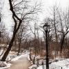 New York 2014-024