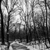 New York 2014-025