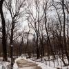 New York 2014-026