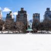 New York 2014-035