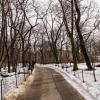 New York 2014-038