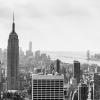 New York 2014-003