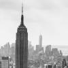 New York 2014-006