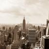 New York 2014-009