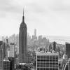 New York 2014-010
