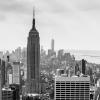 New York 2014-011