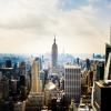New York 2014-012