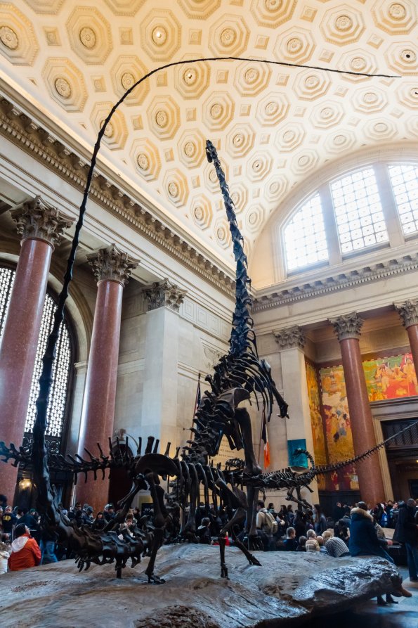 New York 2014-001