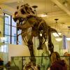 New York 2014-025
