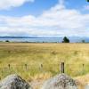 New Zealand 2014~2015-008