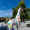 New Zealand 2014~2015-035