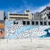 New Zealand 2014~2015-040