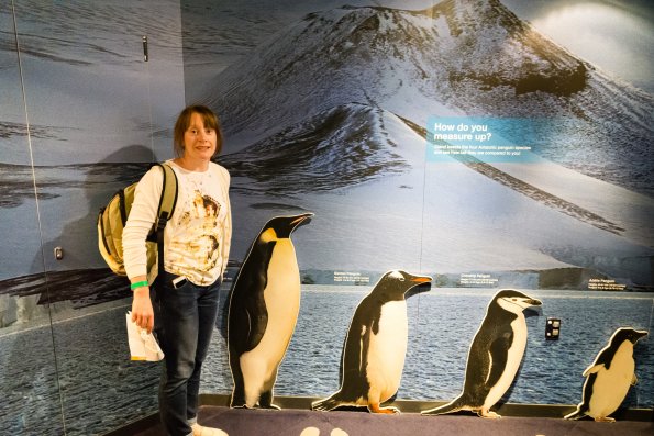 New Zealand 2014~2015-047