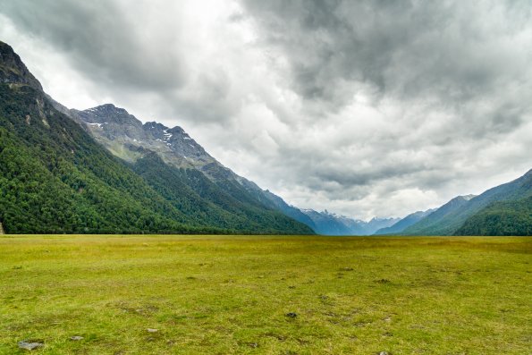 New Zealand 2014~2015-003