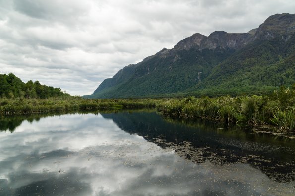 New Zealand 2014~2015-007