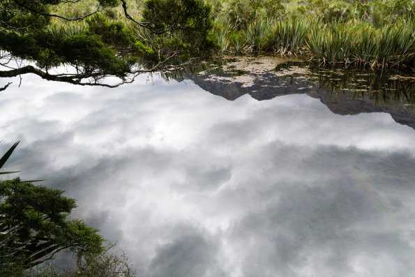 New Zealand 2014~2015-011