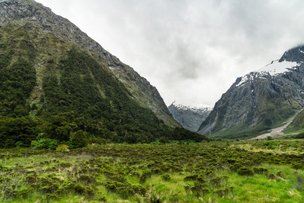 New Zealand 2014~2015-021