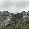 New Zealand 2014~2015-029
