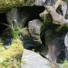 New Zealand 2014~2015-036