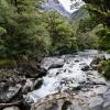 New Zealand 2014~2015-037