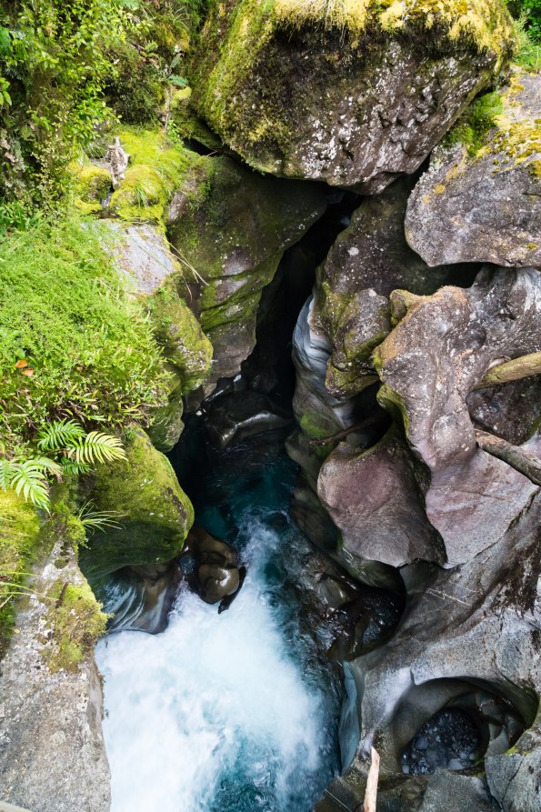 New Zealand 2014~2015-038