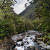 New Zealand 2014~2015-039