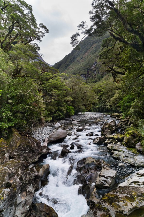 New Zealand 2014~2015-039