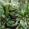 New Zealand 2014~2015-041