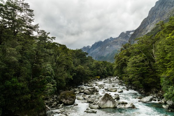 New Zealand 2014~2015-043