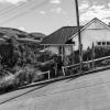 Dunedin
