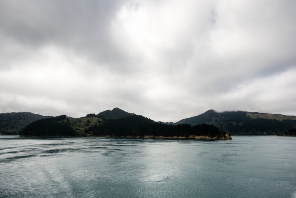 New Zealand 2014~2015-006