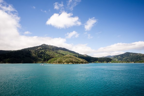 New Zealand 2014~2015-008