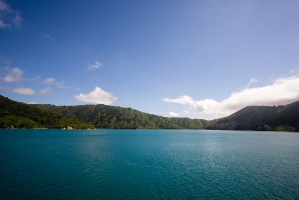 New Zealand 2014~2015-010