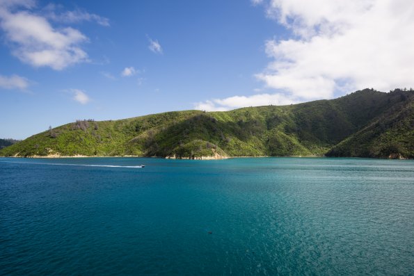 New Zealand 2014~2015-012