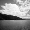 New Zealand 2014~2015-015