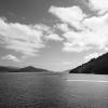 New Zealand 2014~2015-017