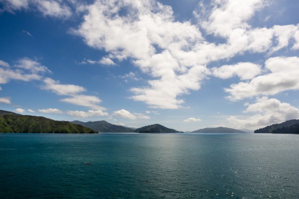 New Zealand 2014~2015-019