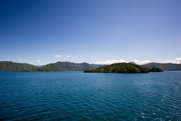 New Zealand 2014~2015-020