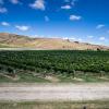New Zealand 2014~2015-028