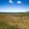 New Zealand 2014~2015-029