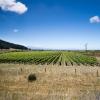 New Zealand 2014~2015-030