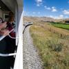 New Zealand 2014~2015-031