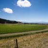 New Zealand 2014~2015-032