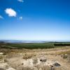 New Zealand 2014~2015-033