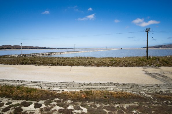 New Zealand 2014~2015-035
