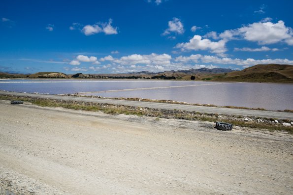 New Zealand 2014~2015-036