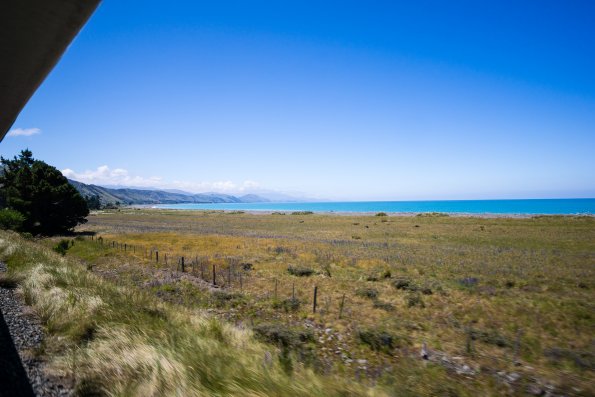 New Zealand 2014~2015-042