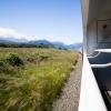 New Zealand 2014~2015-045