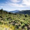New Zealand 2014~2015-068